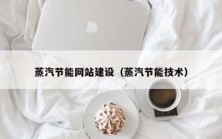 益阳蒸汽节能网站建设（蒸汽节能技术）
